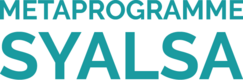 Métaprogramme SYALSA (nouvelle fenêtre)